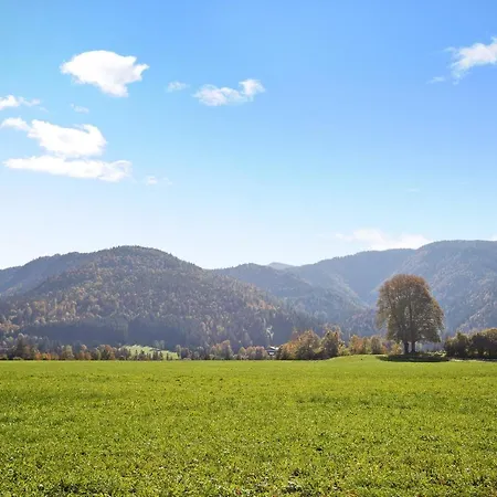 Winklmoosalm Reit im Winkl