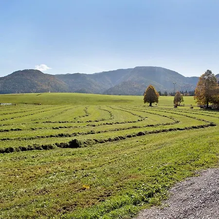 Winklmoosalm Reit im Winkl